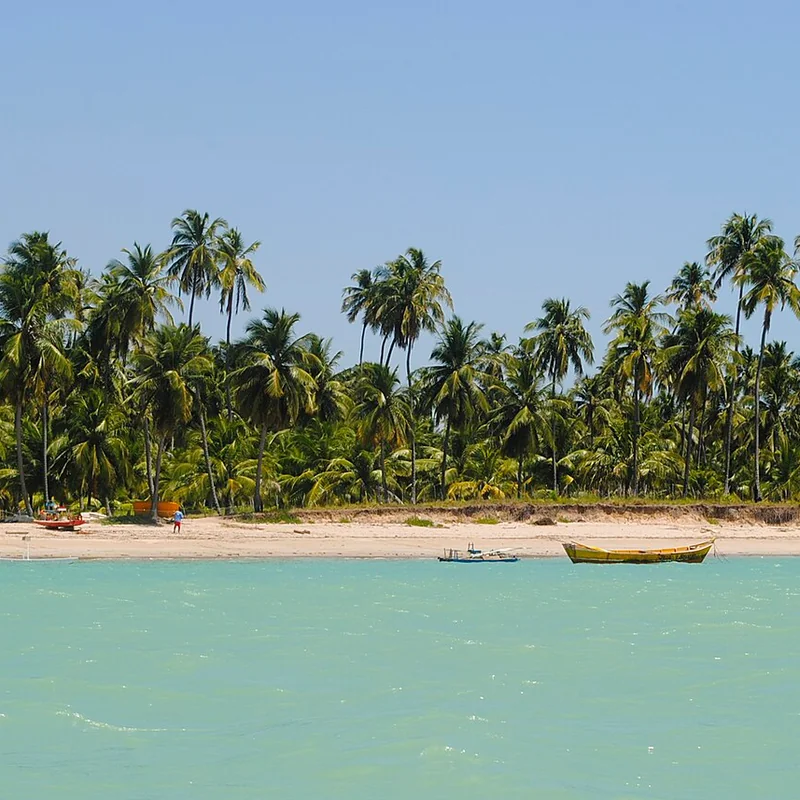Águas azuis e faixa de areia em Maceió